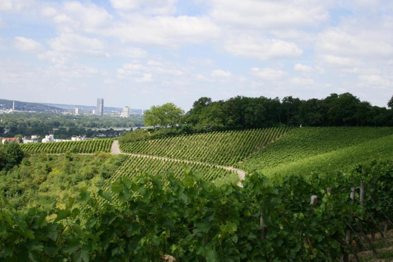 Jufa Koenigswinter/bonn Отель 4*